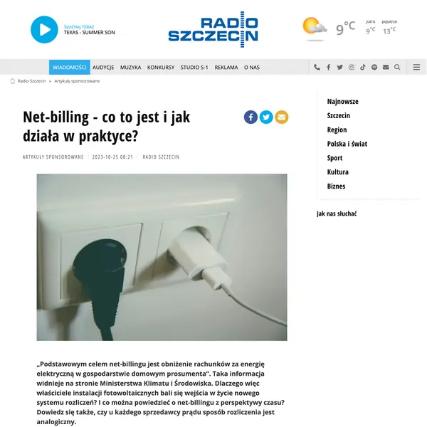 Net billing — co to jest?